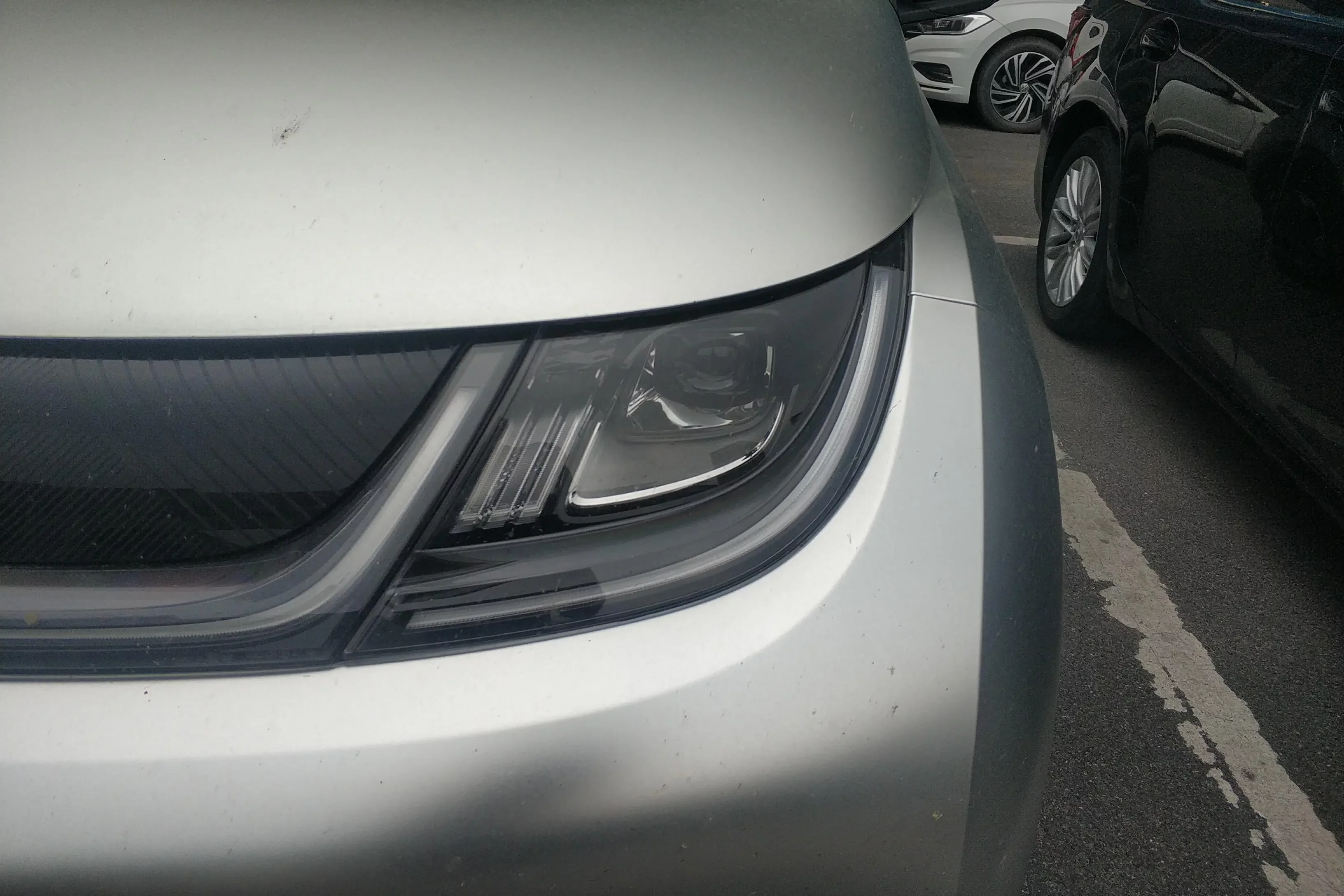 BYD dolphin