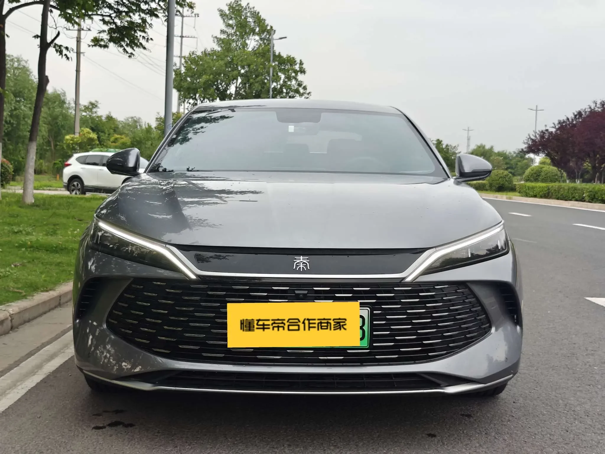 BYD Qin L DM