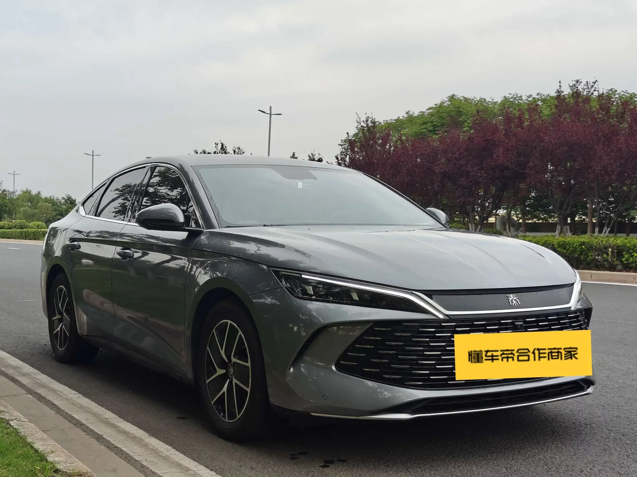 BYD Qin L DM