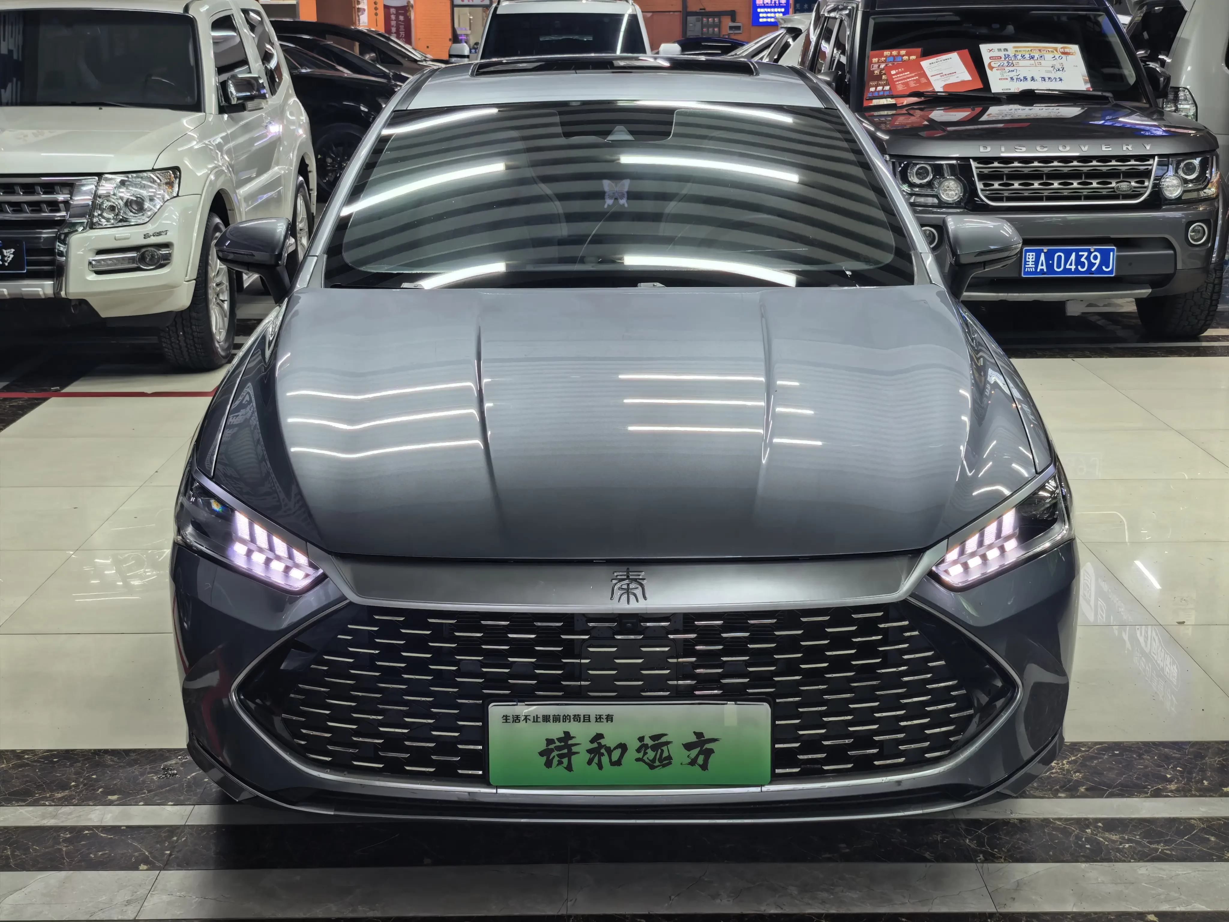 BYD Qin PLUS DM