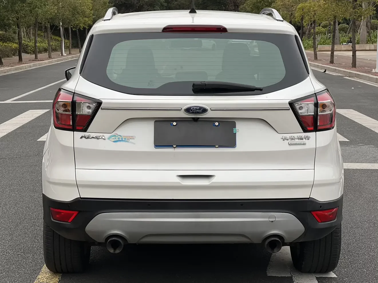 Ford wing tiger