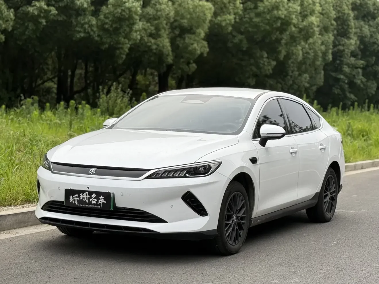 BYD Qin PLUS EV