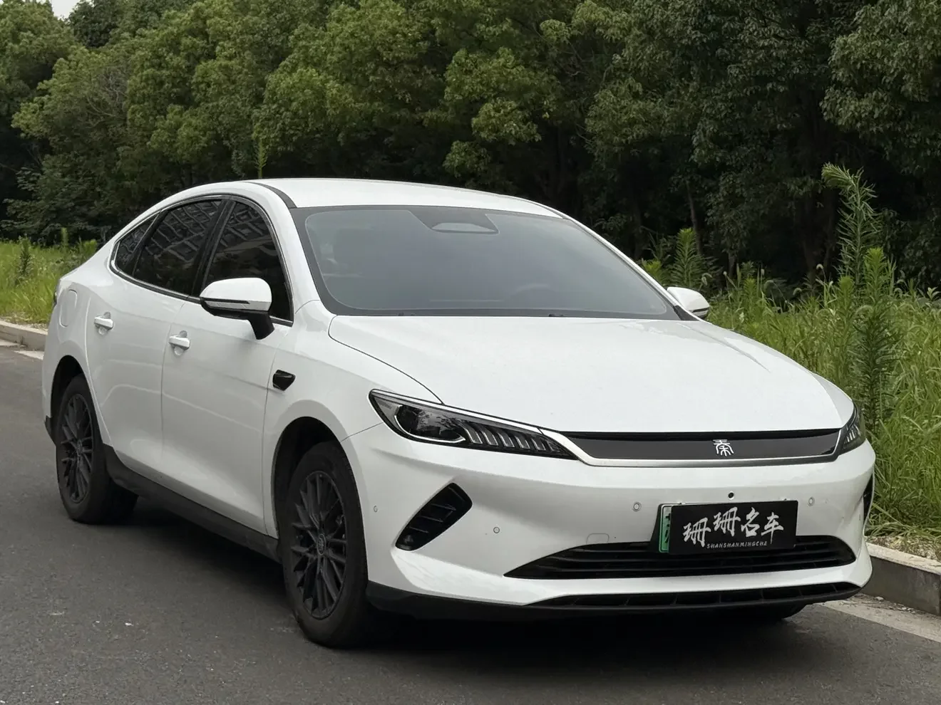 BYD Qin PLUS EV