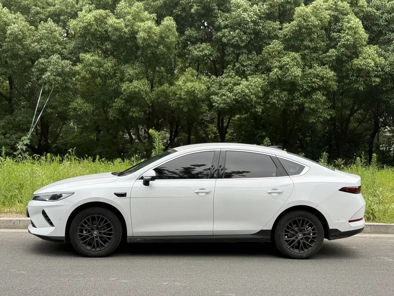 BYD Qin PLUS EV