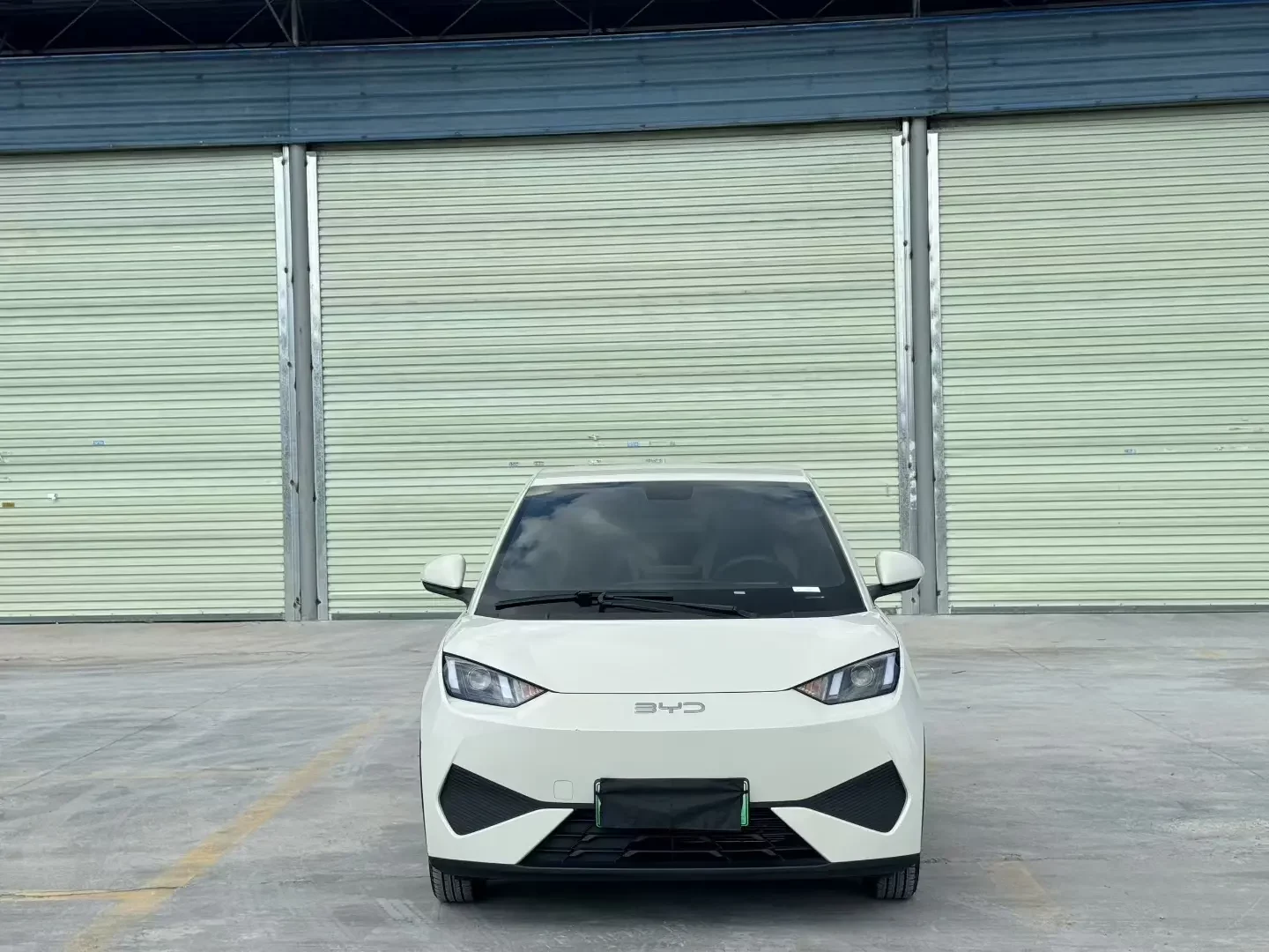 BYD seagull