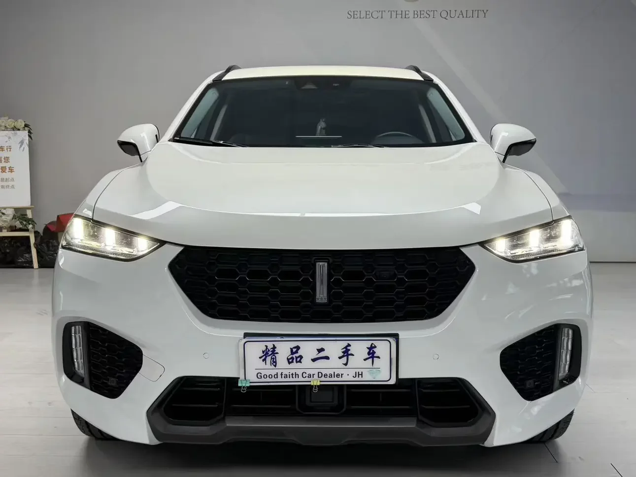 Wey Wei brand VV7