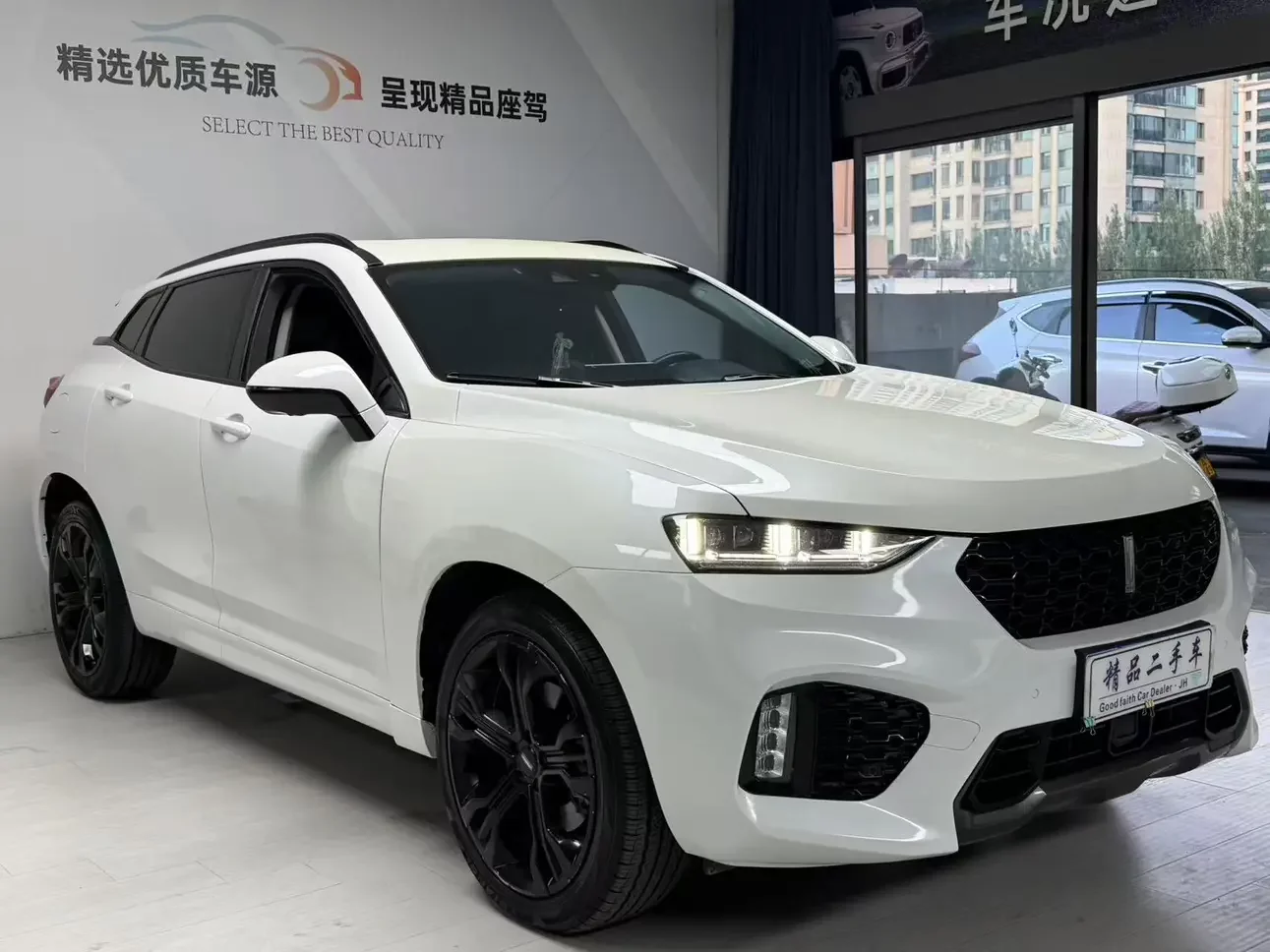 Wey Wei brand VV7