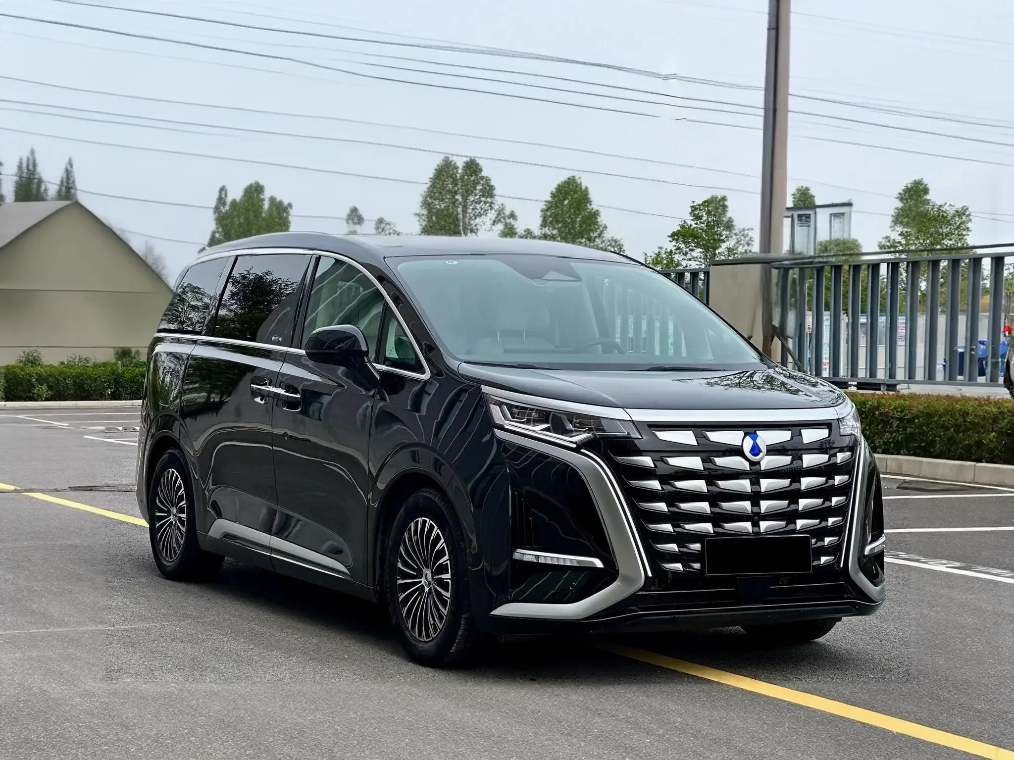 Denza D9 DM