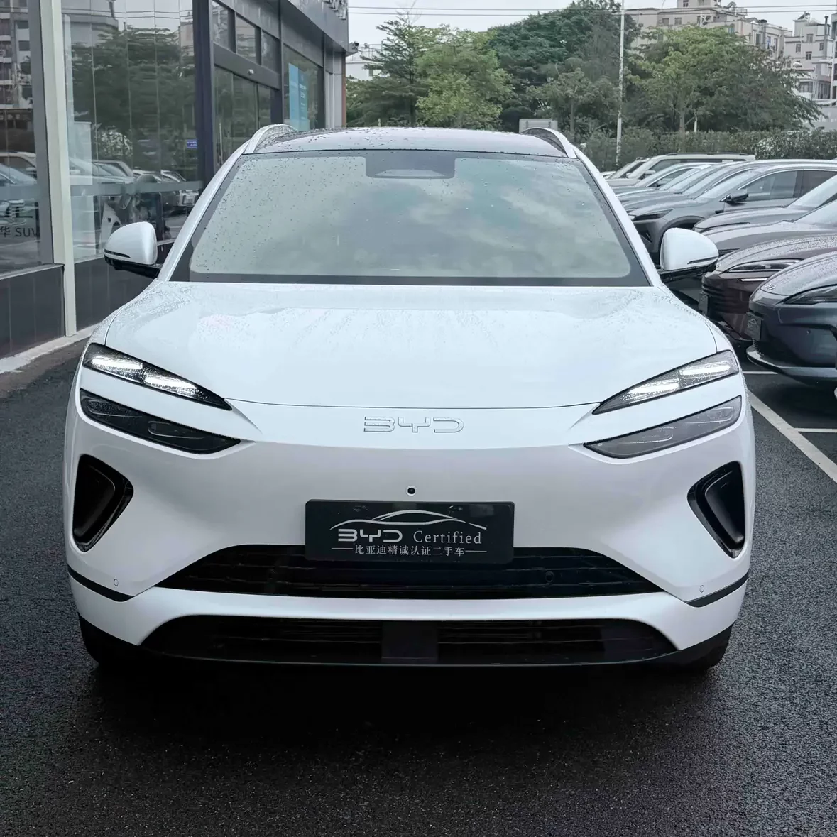 BYD Sea Lion 06DM