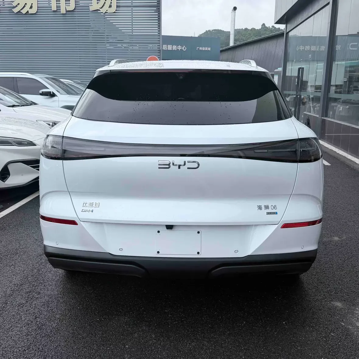 BYD Sea Lion 06DM