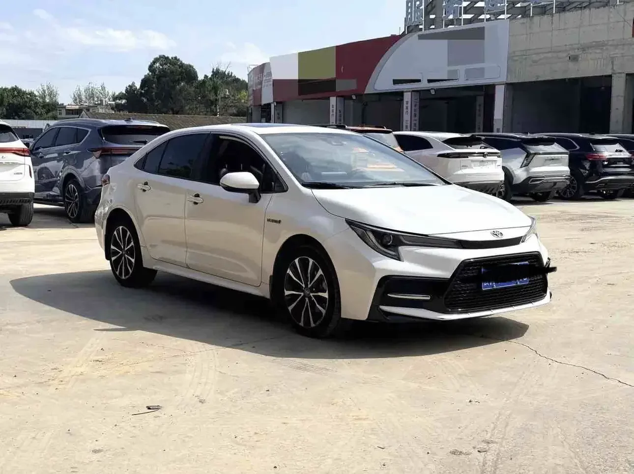 Toyota Levin