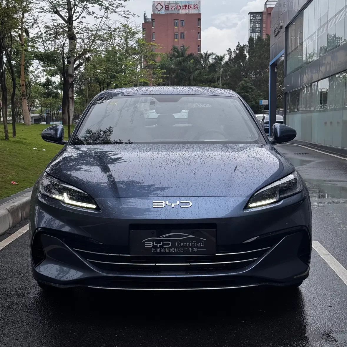 BYD Seal 06DM