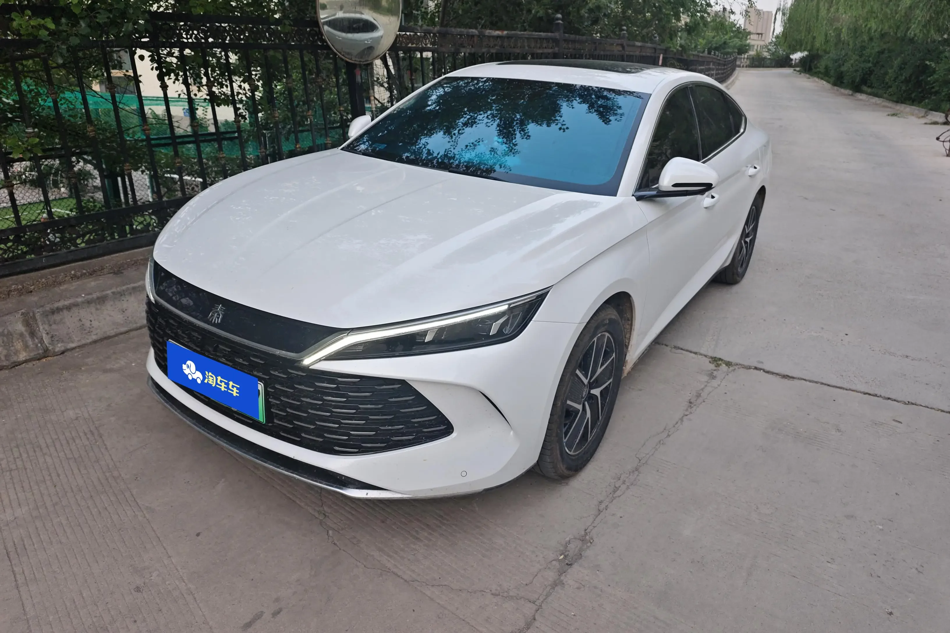 BYD Qin L DM