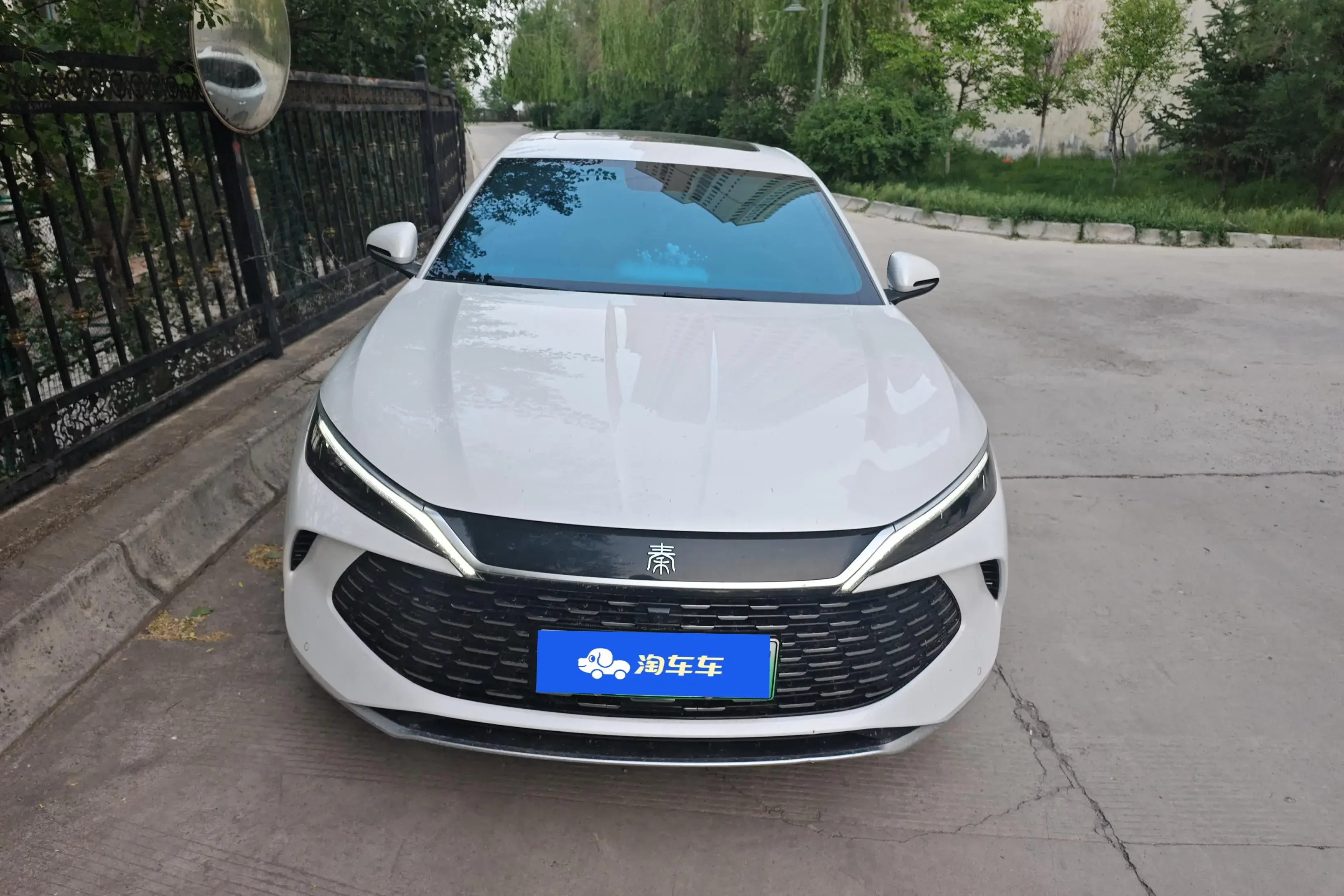 BYD Qin L DM