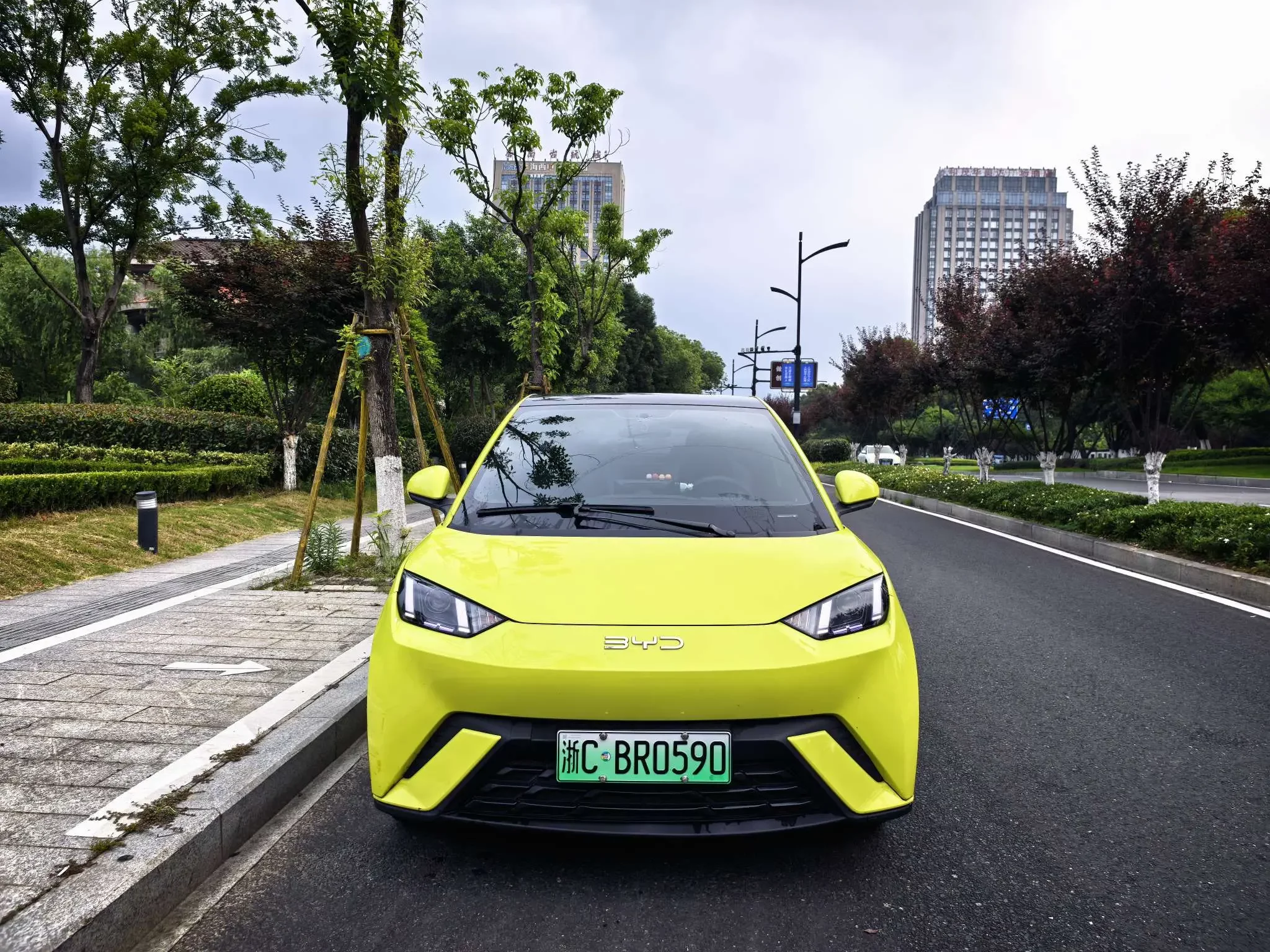 BYD seagull