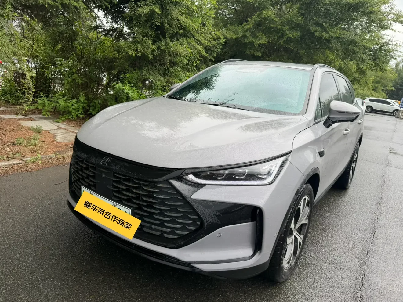 BYD Tang DM