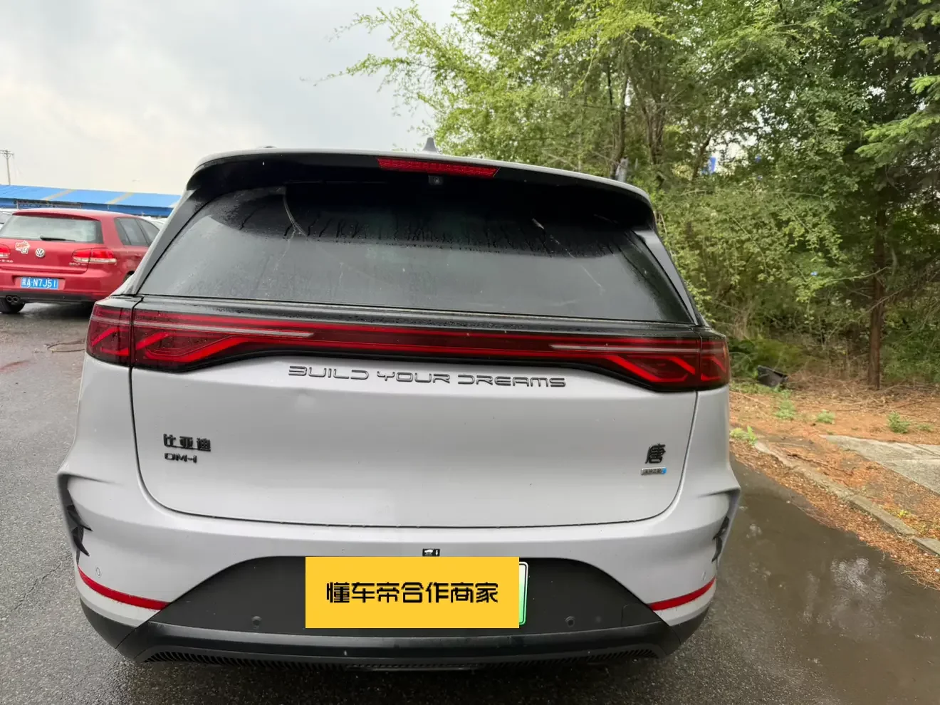 BYD Tang DM