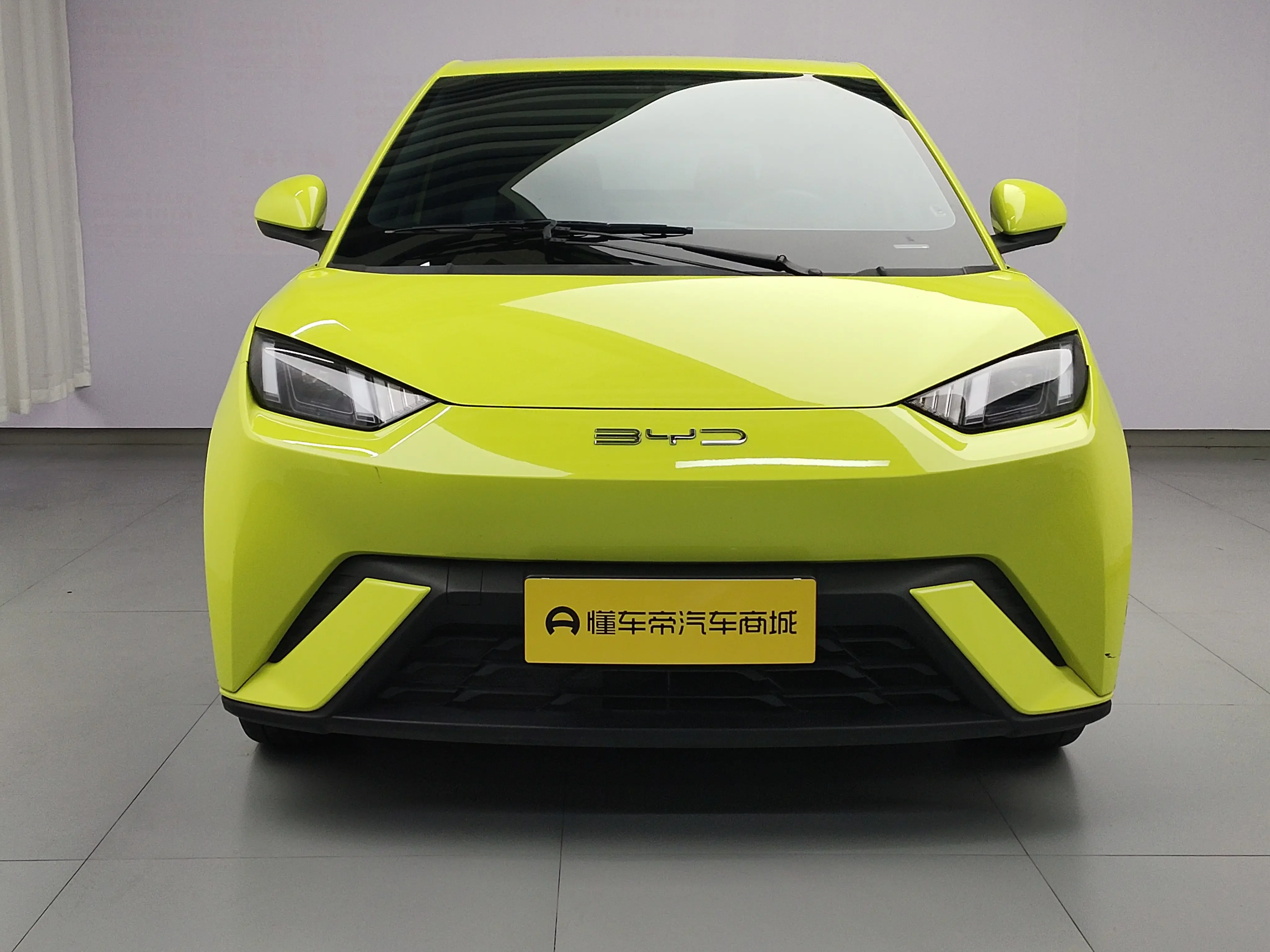 BYD seagull