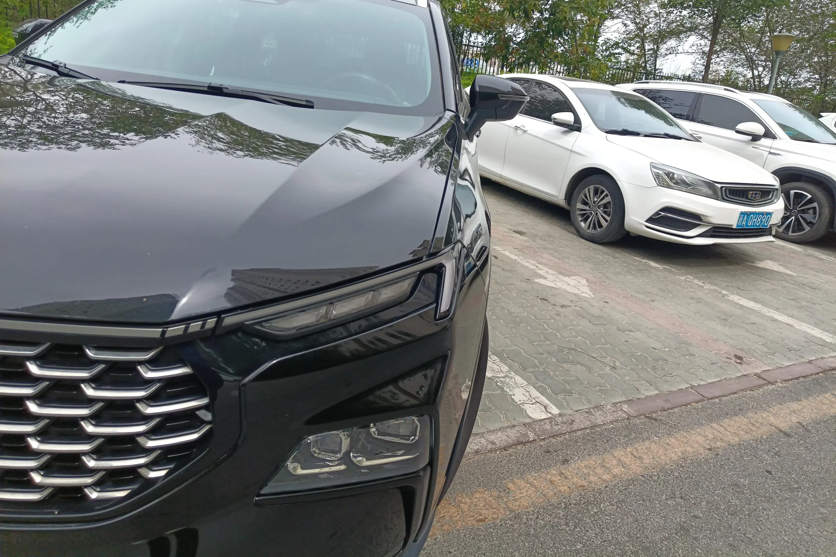 Ford Equator Sport