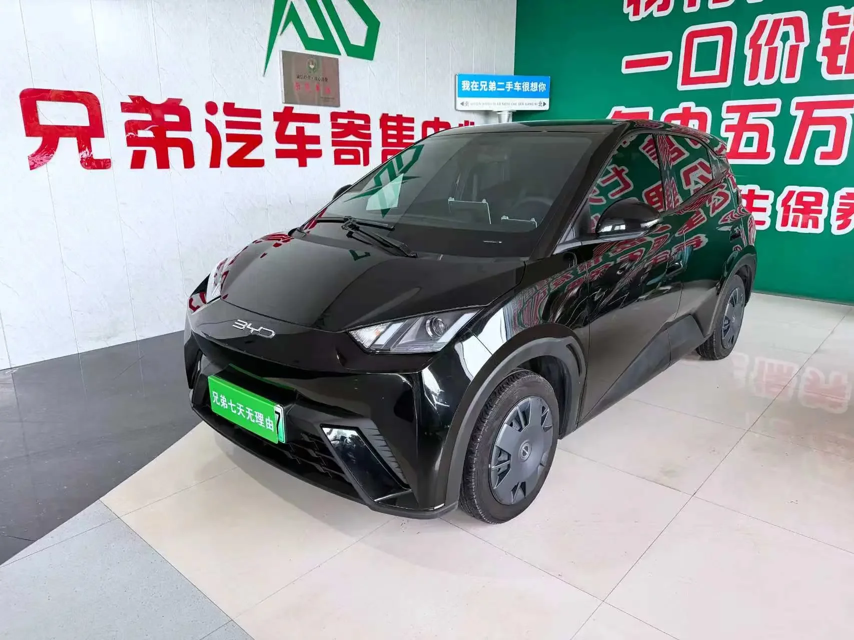 BYD seagull