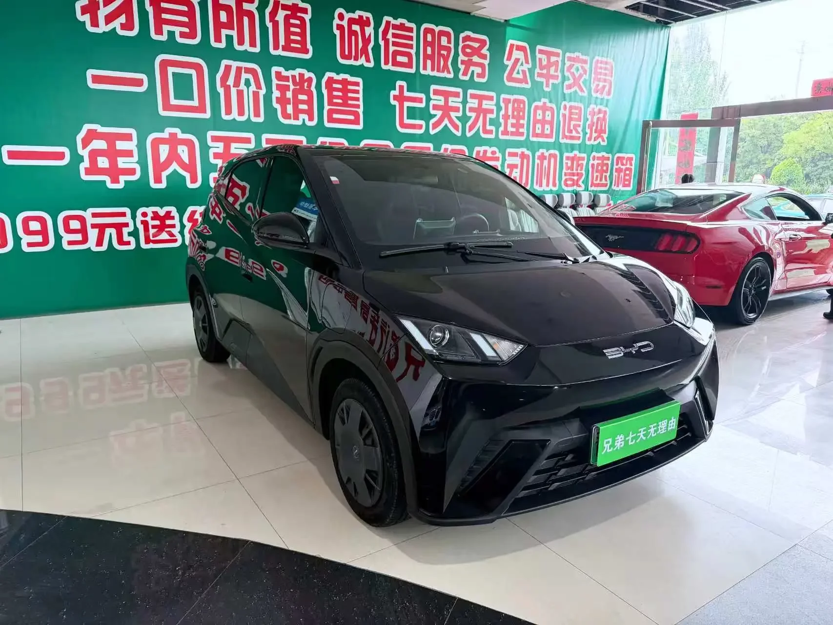 BYD seagull