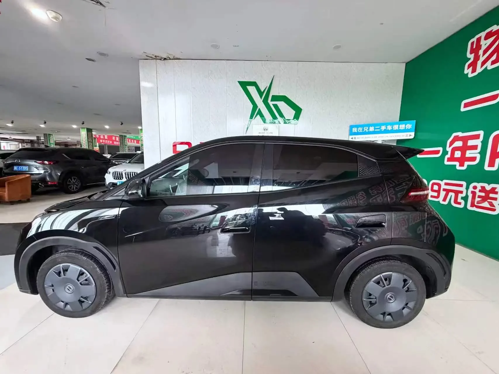 BYD seagull