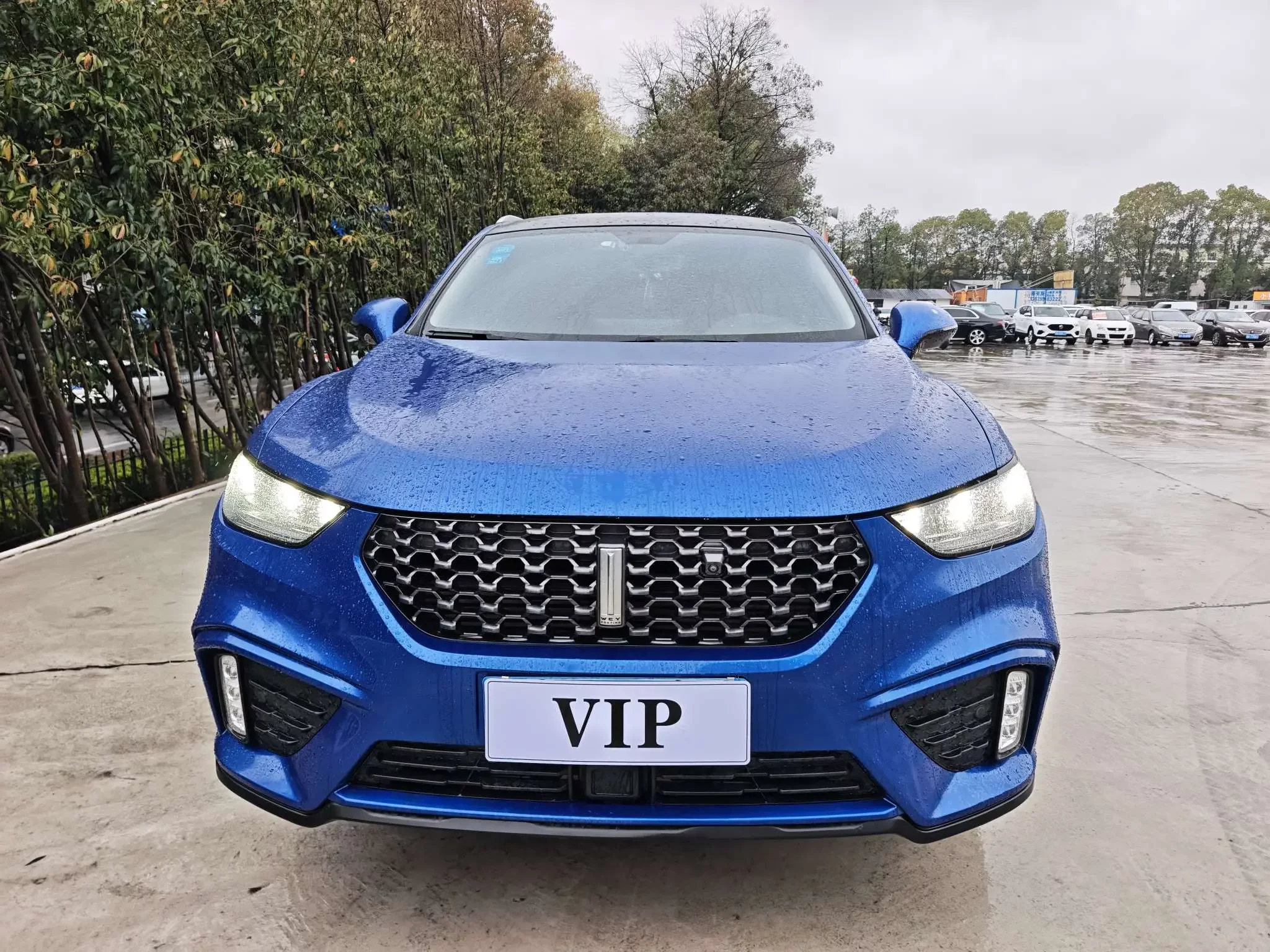 Wey Wei brand VV5