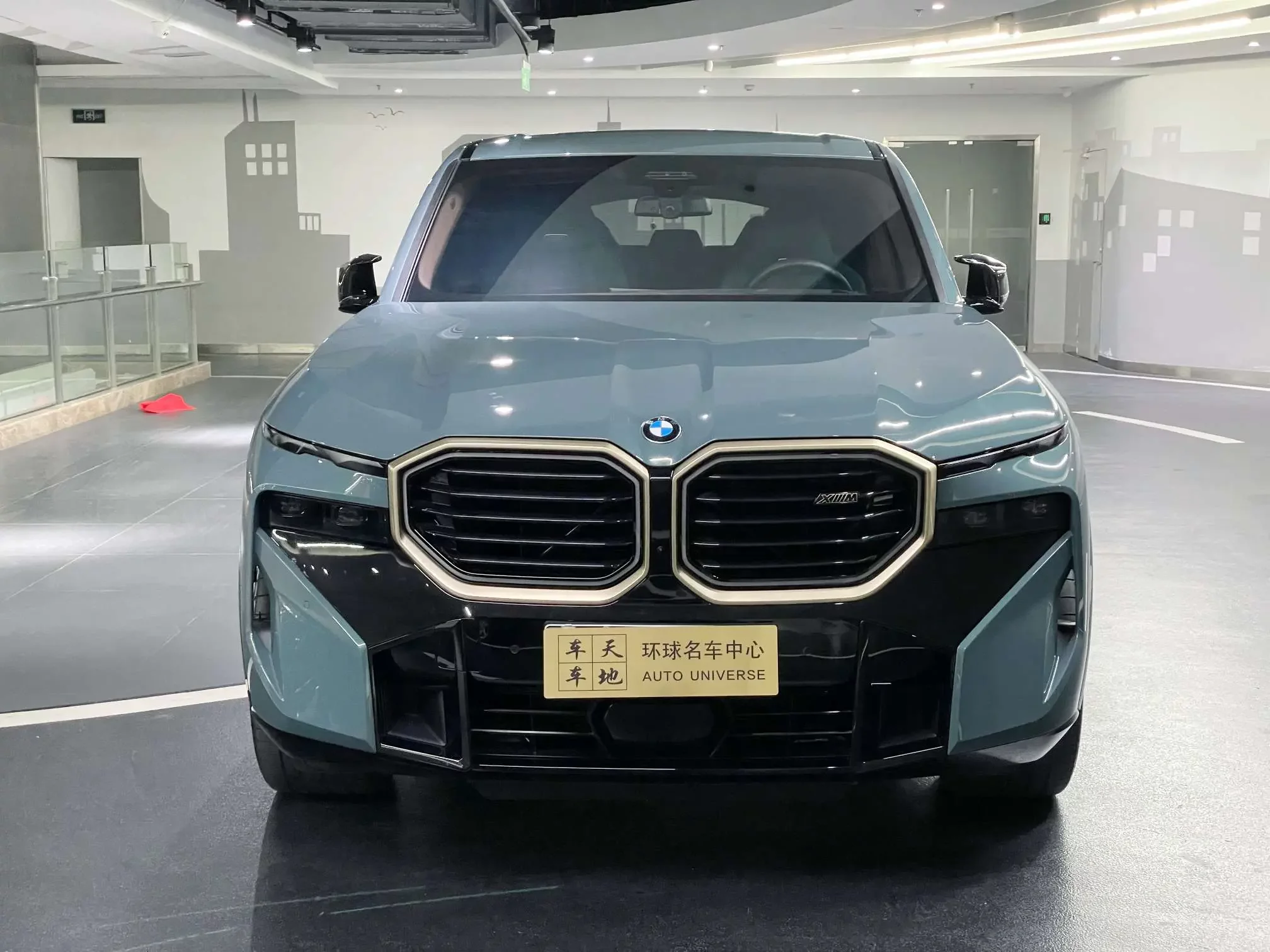 BMW XM