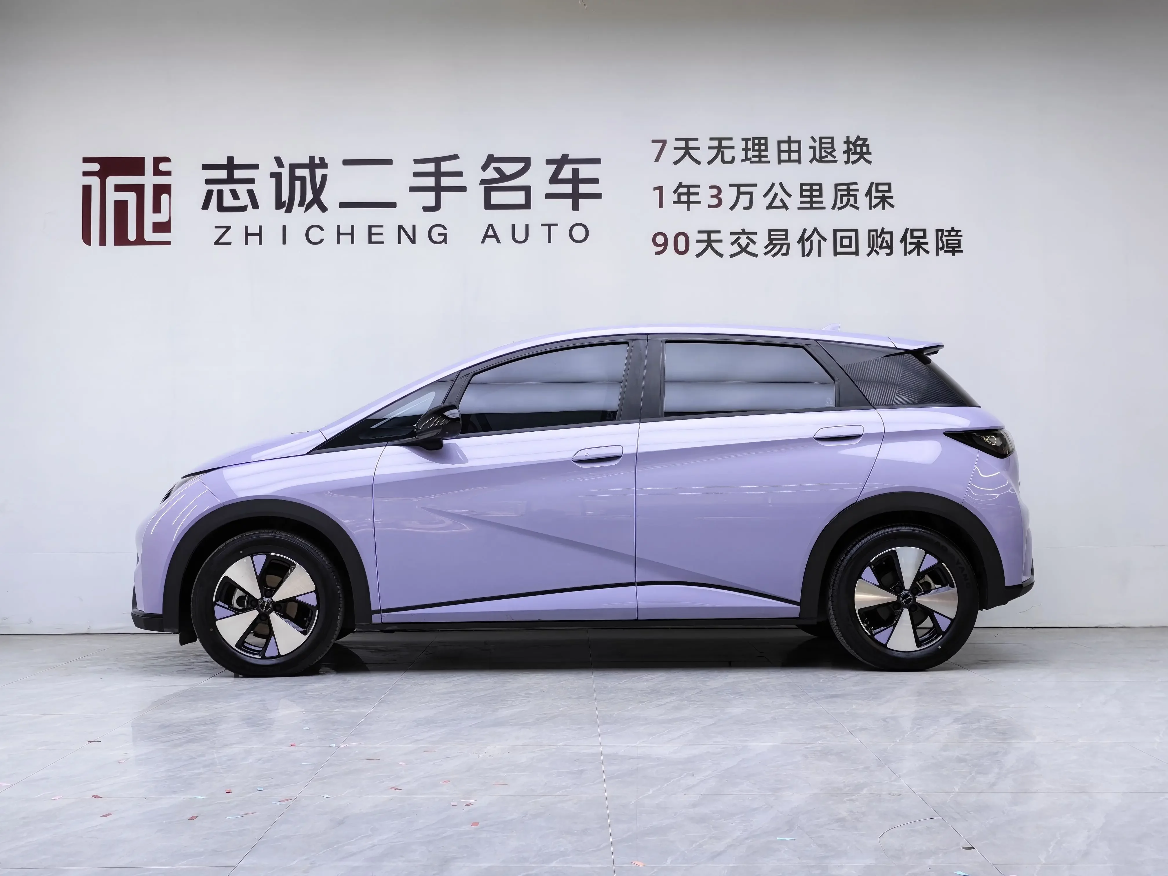BYD dolphin