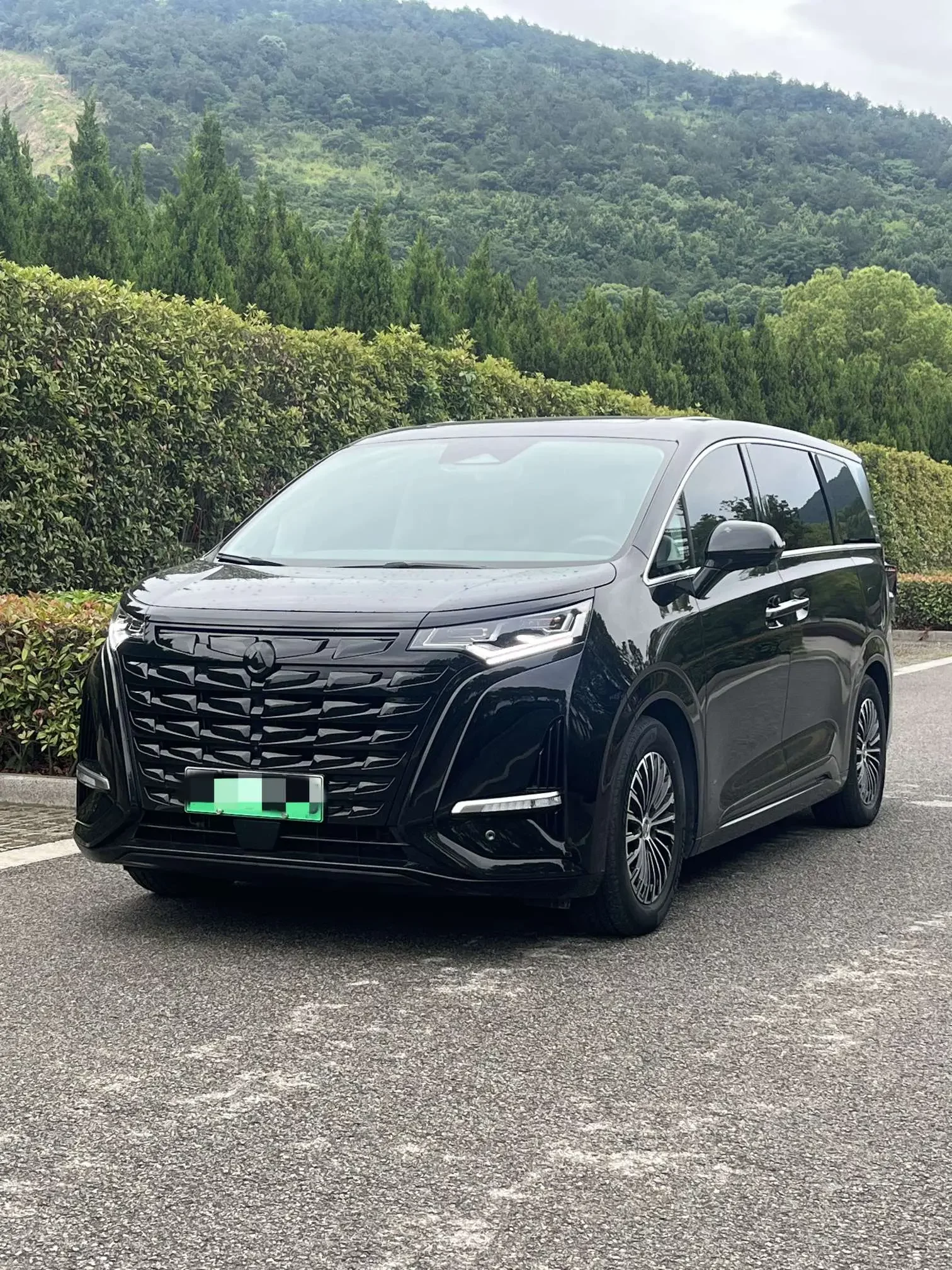Denza D9 DM