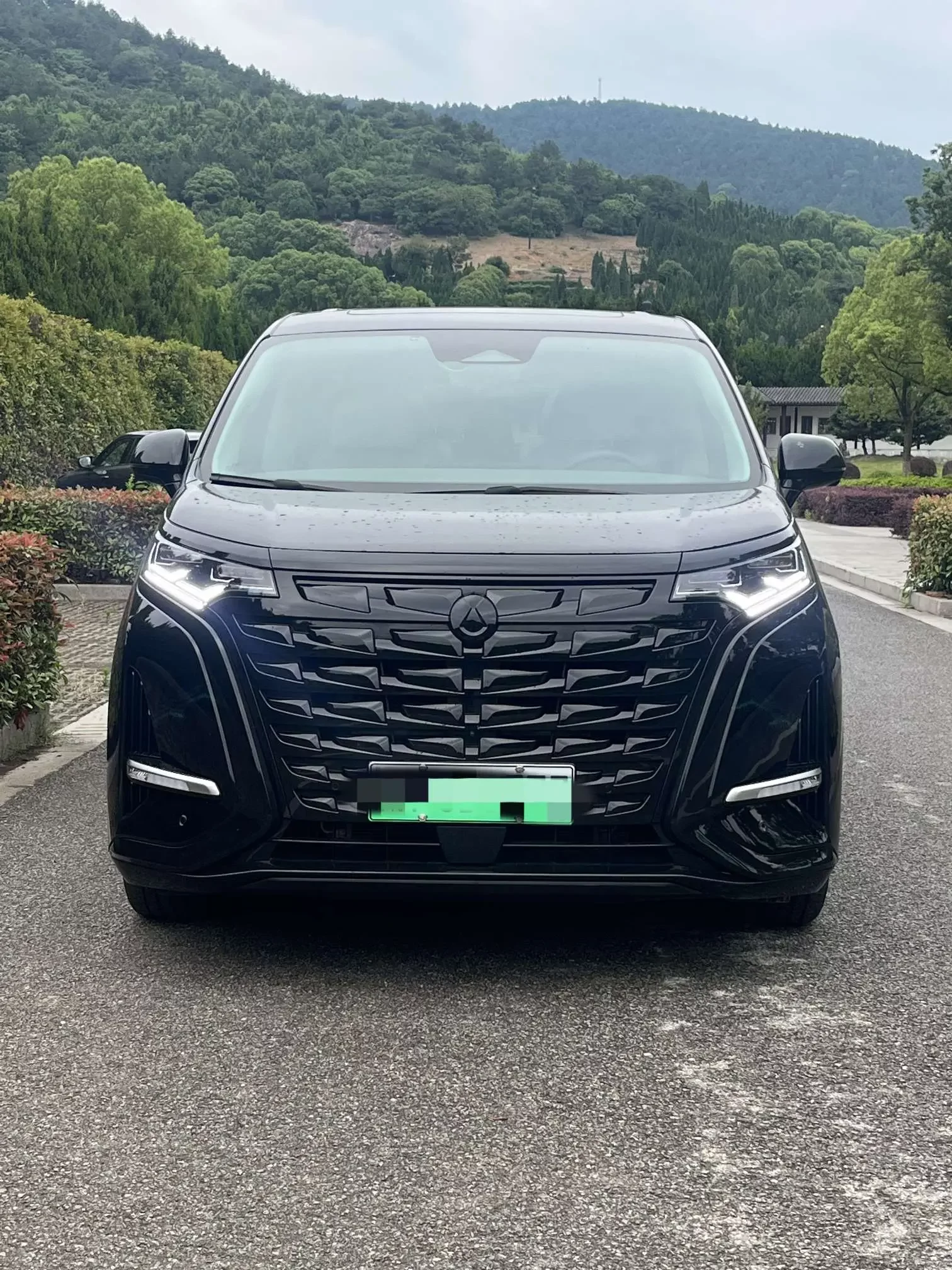 Denza D9 DM