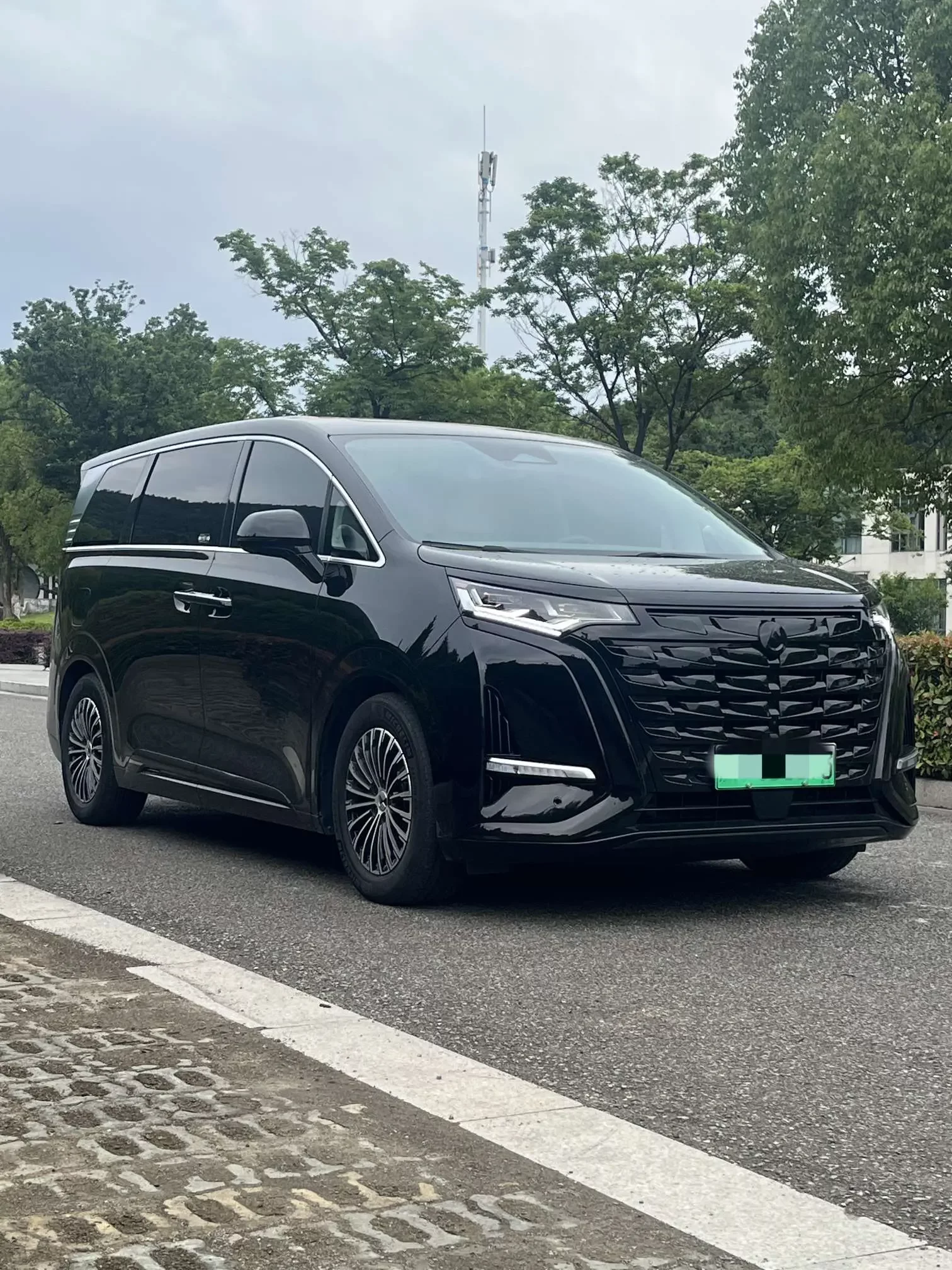 Denza D9 DM
