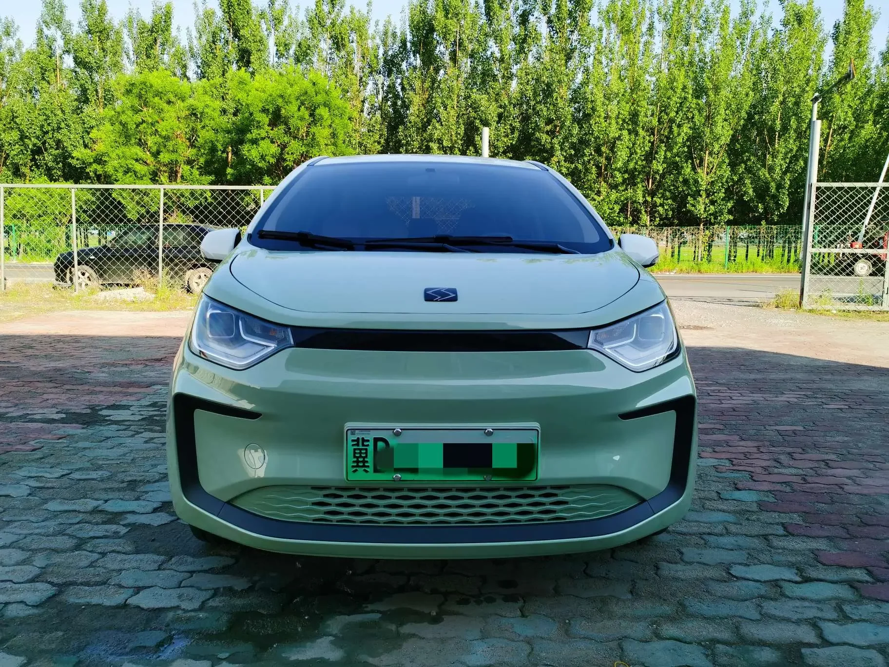 JAC (Sihao) Sihao Flower Fairy