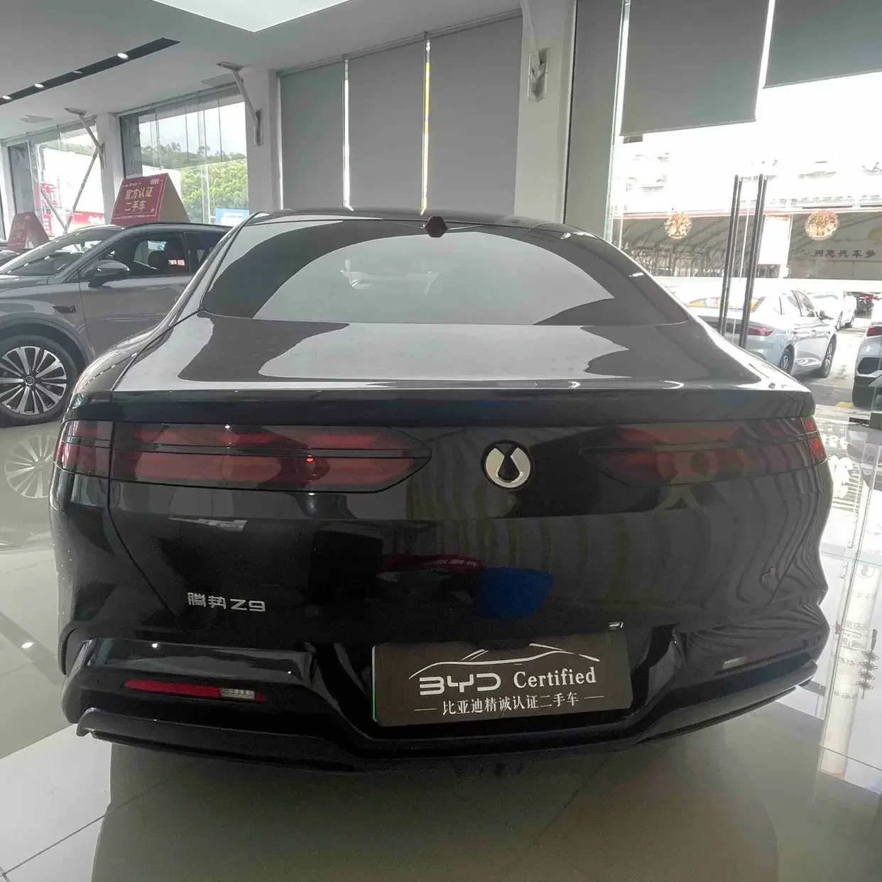 Denza Tengzhong Z9 DM