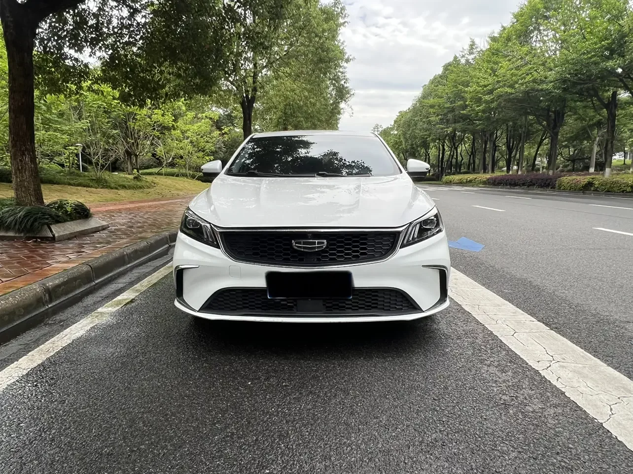 Geely Binrui