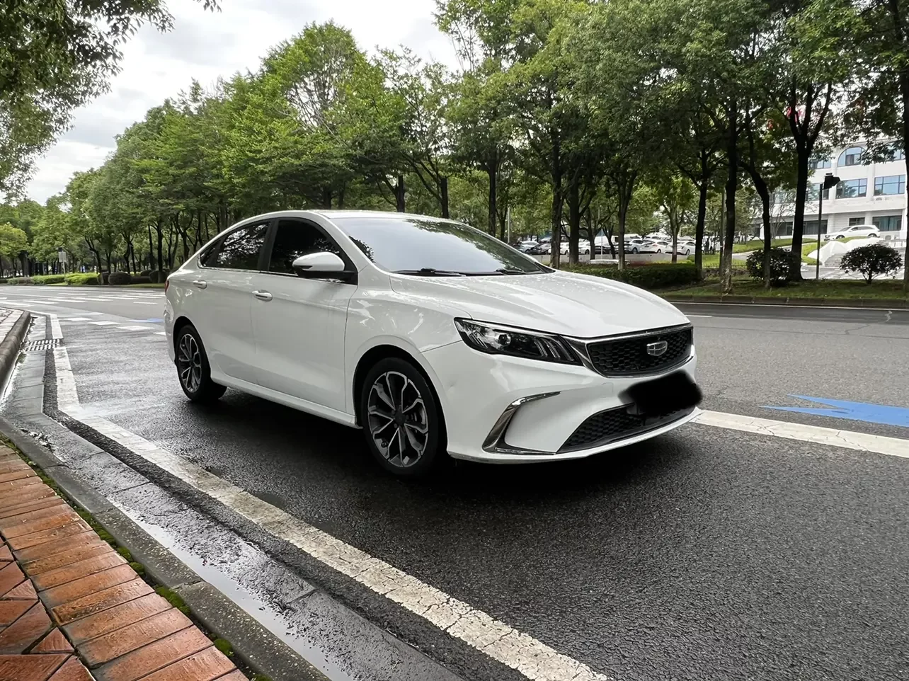 Geely Binrui