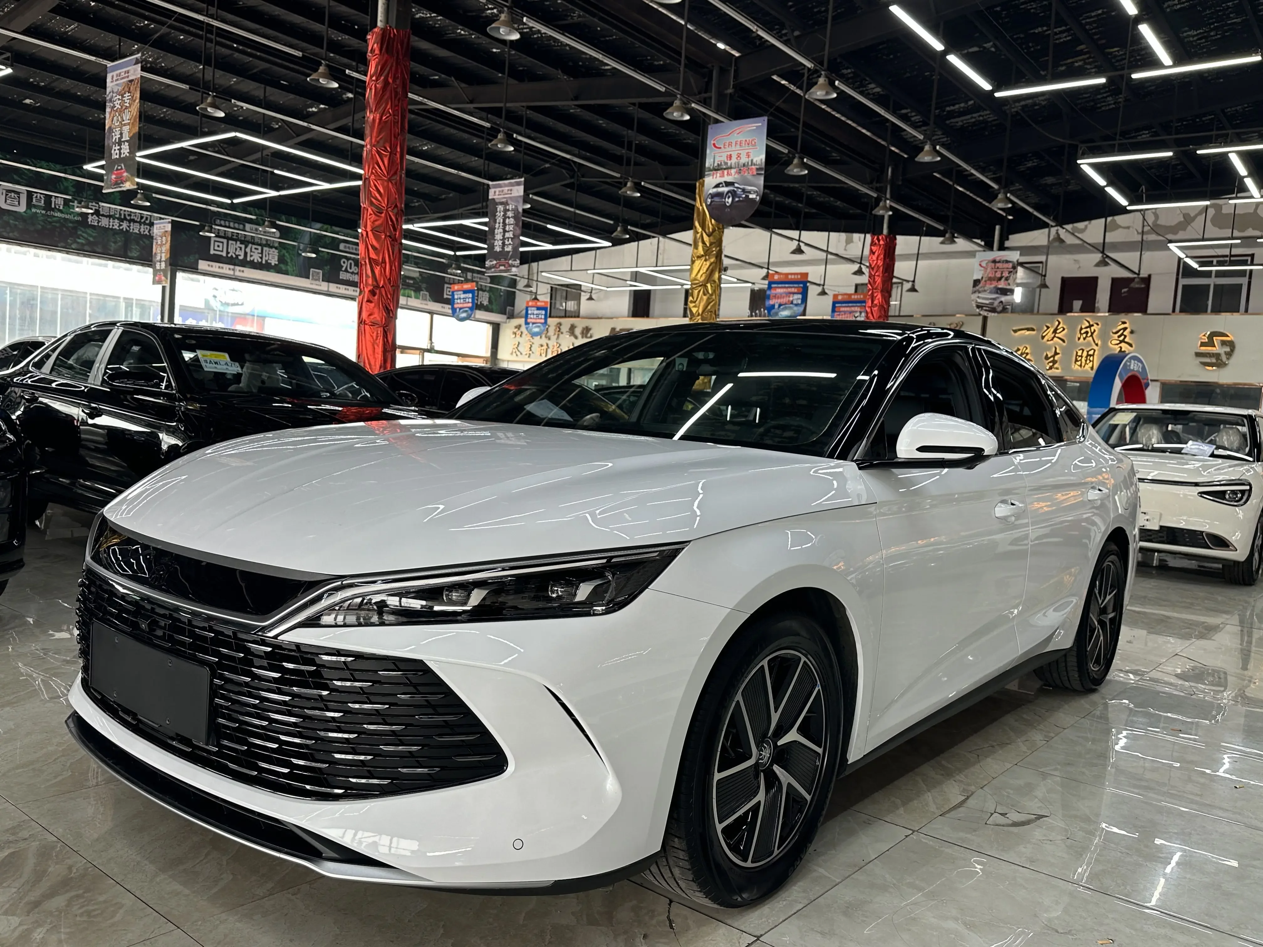 BYD Qin L DM