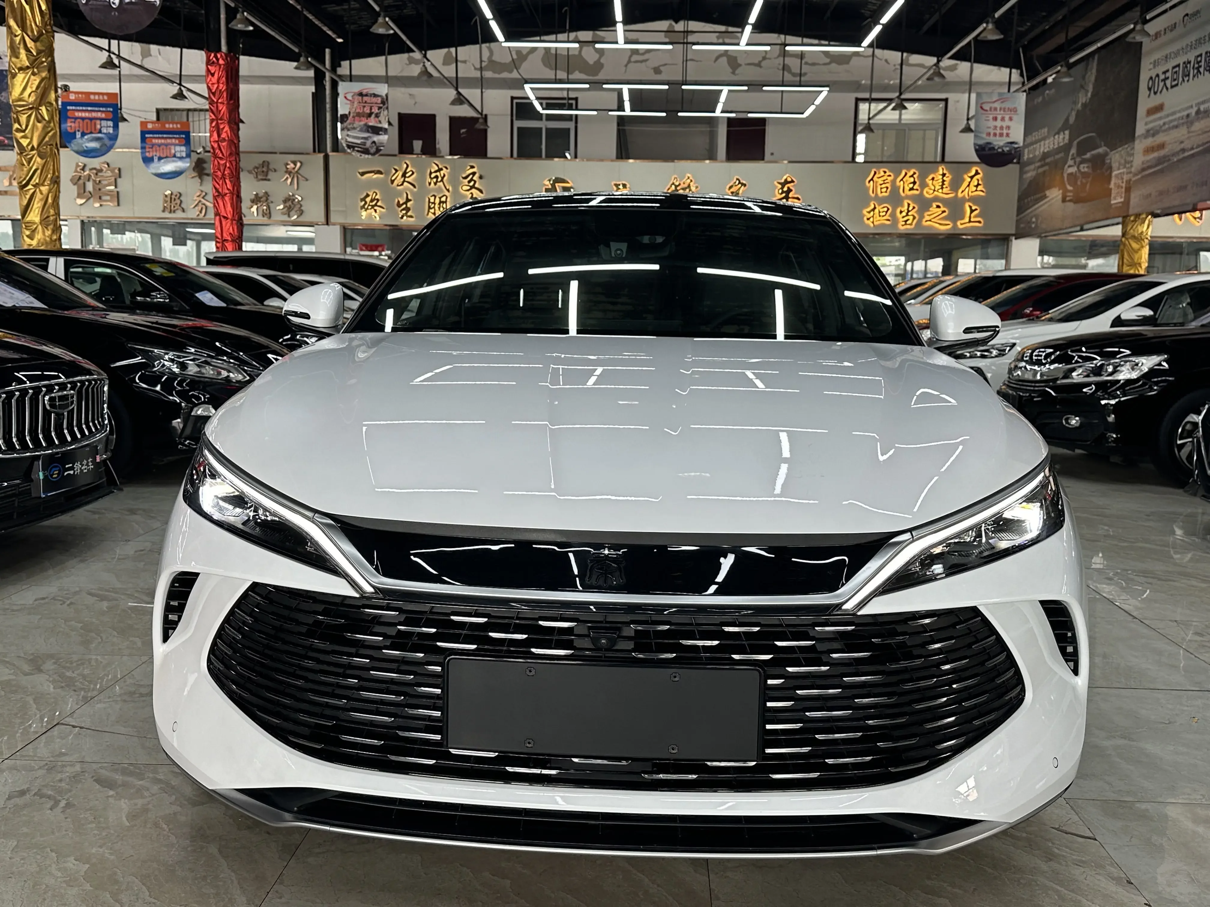 BYD Qin L DM