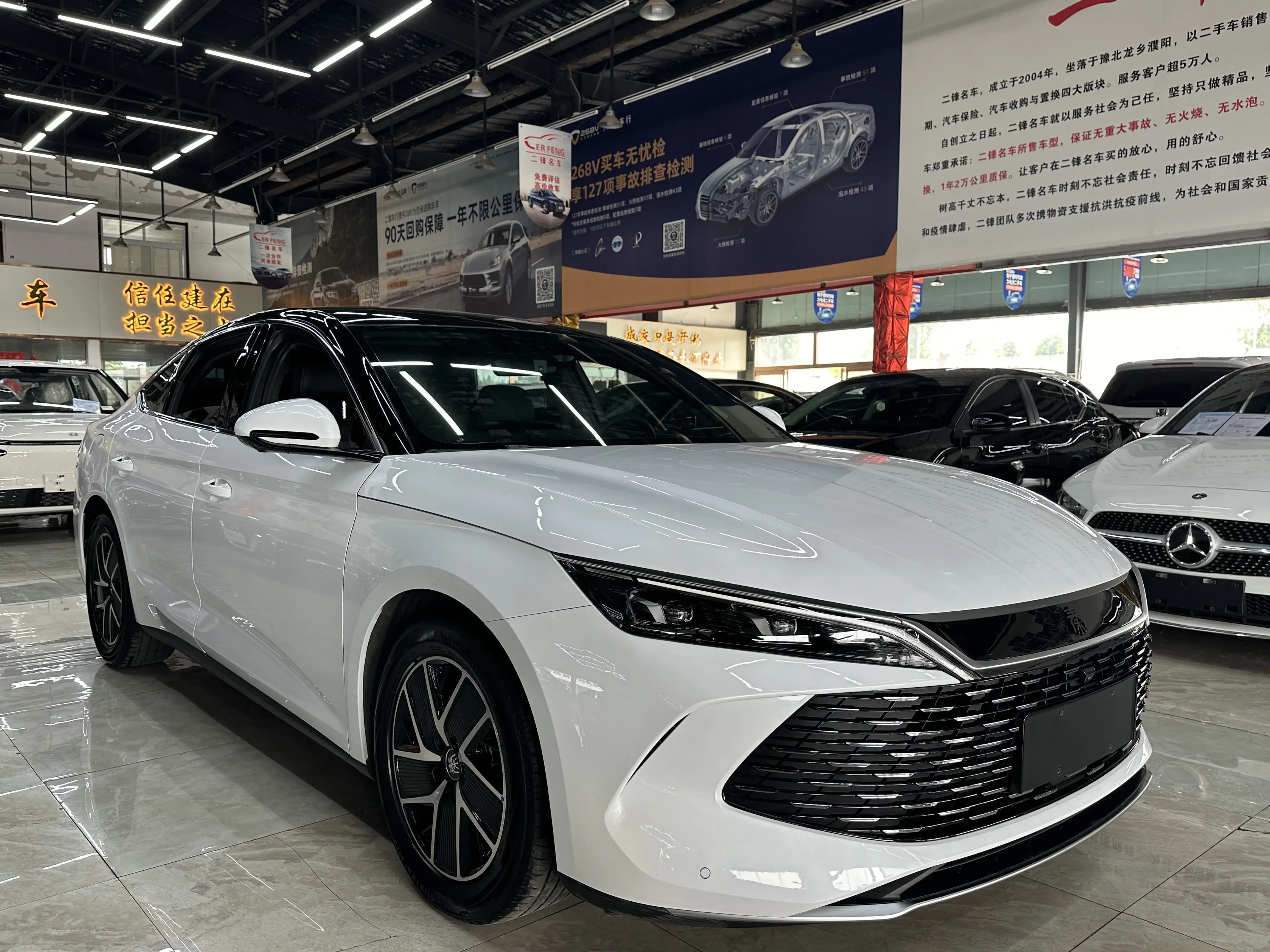 BYD Qin L DM