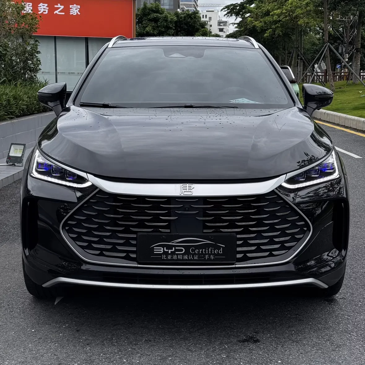 BYD Tang DM