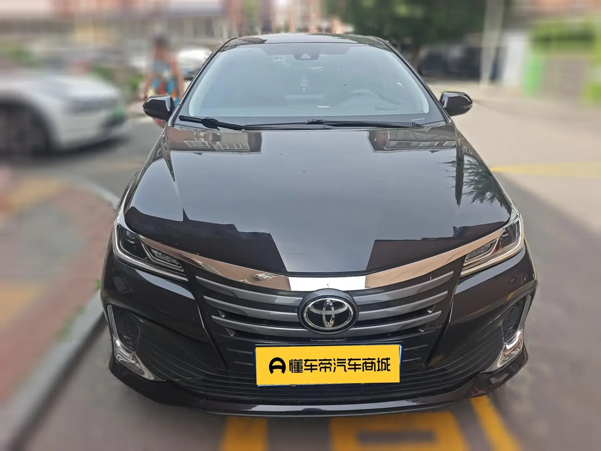 Toyota Asiatic lion