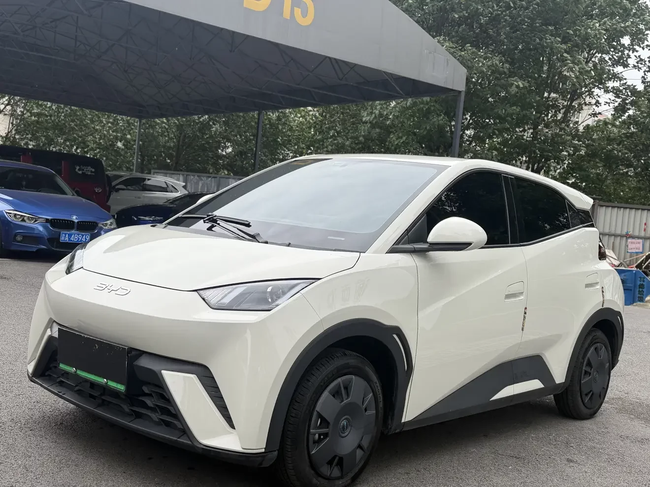 BYD seagull