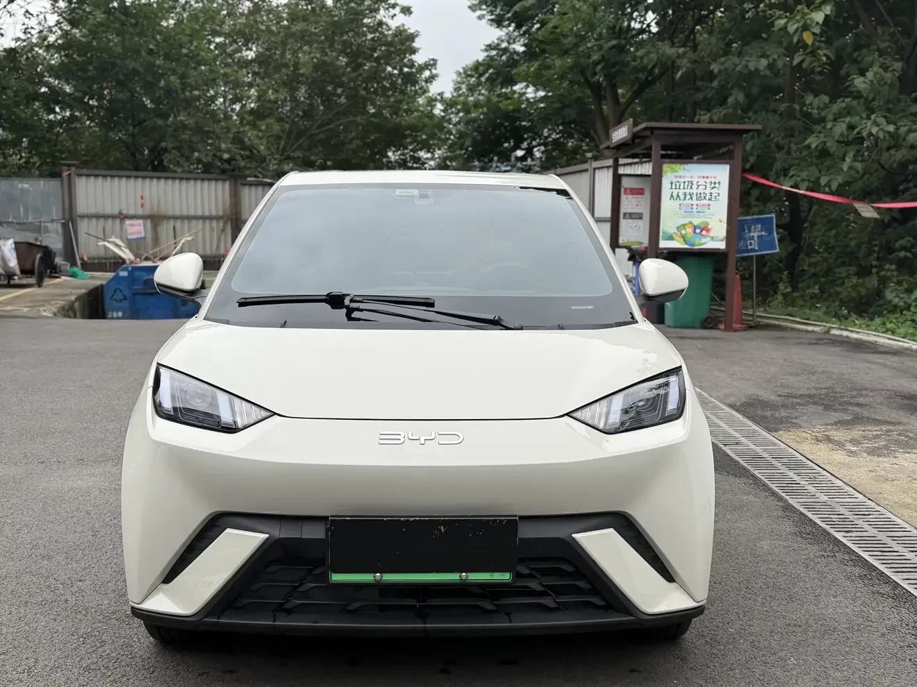 BYD seagull