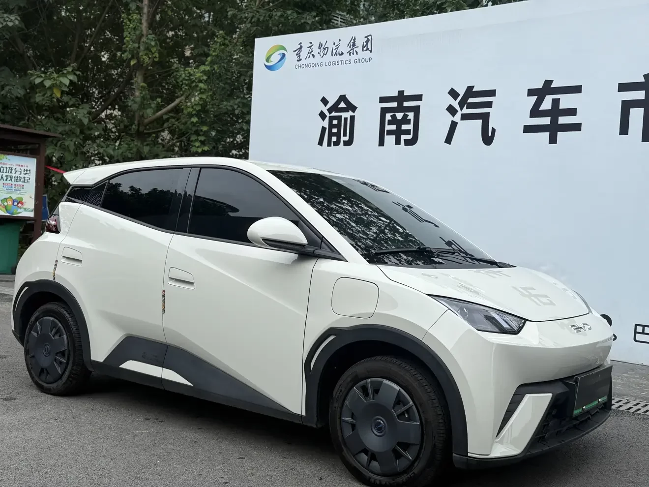 BYD seagull