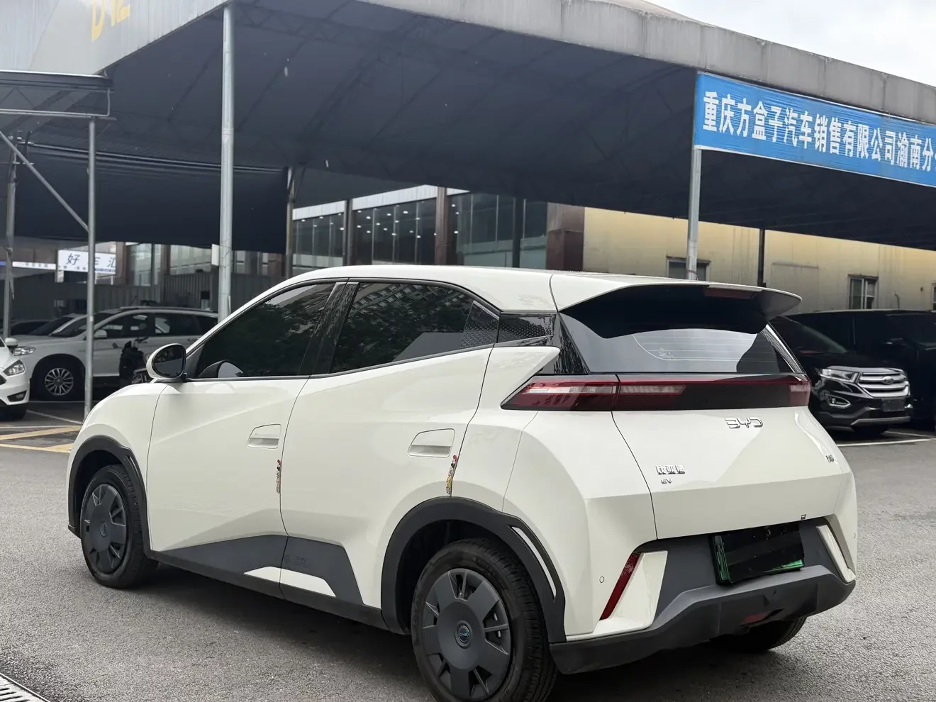 BYD seagull