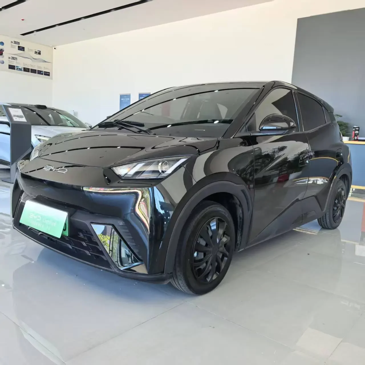 BYD seagull