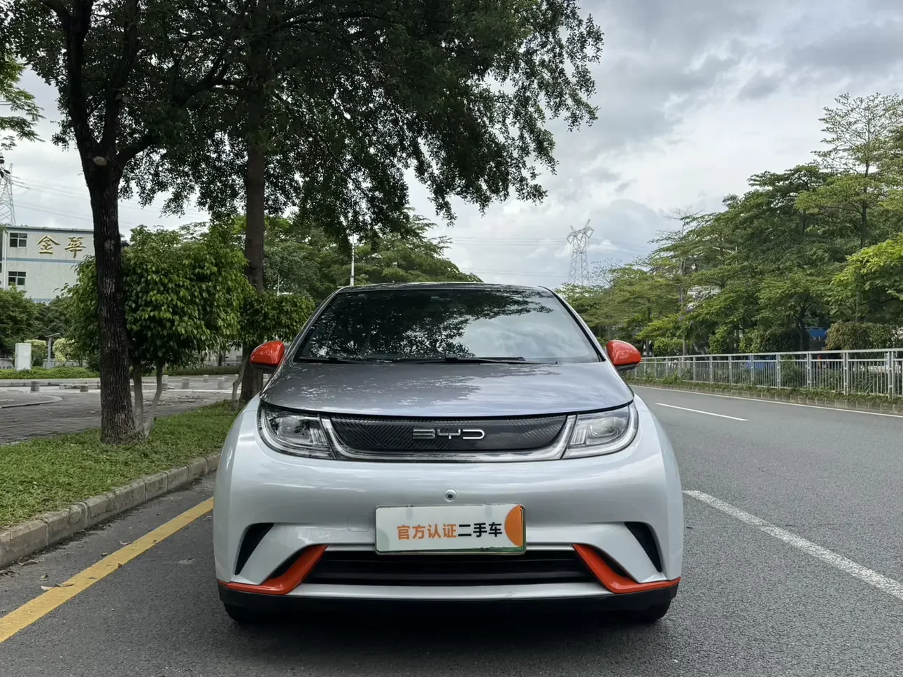 BYD dolphin