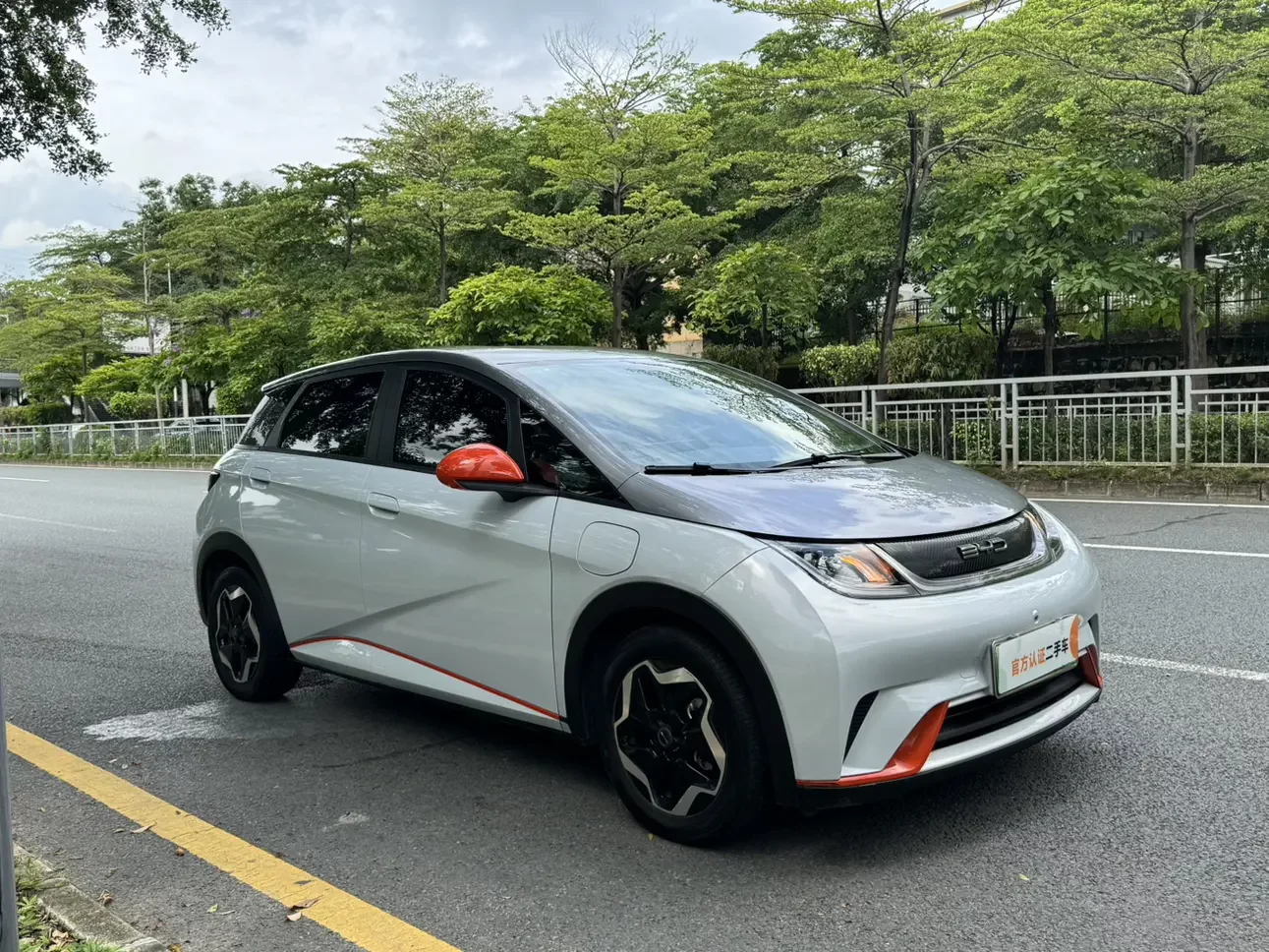 BYD dolphin