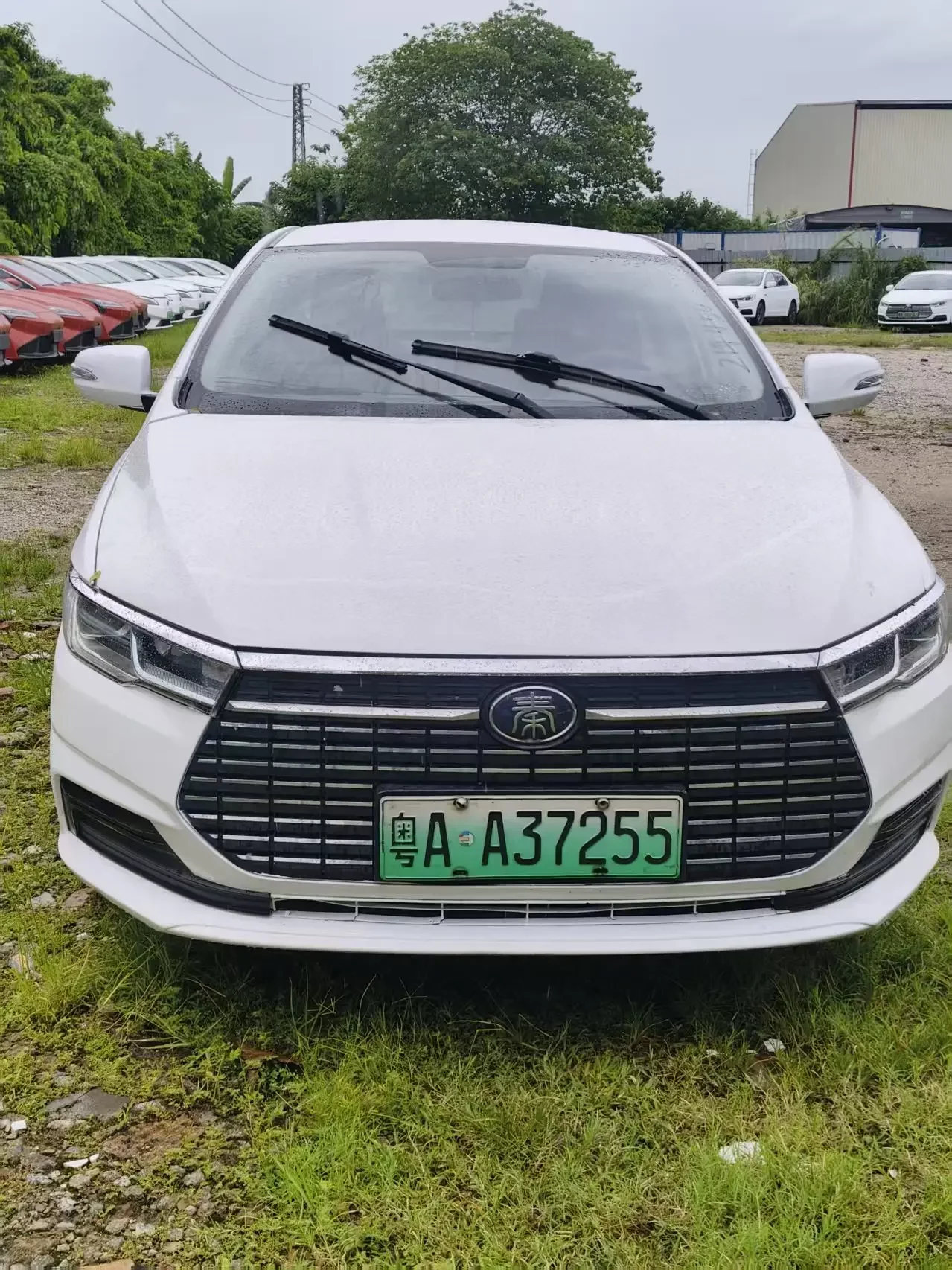 BYD QinEV