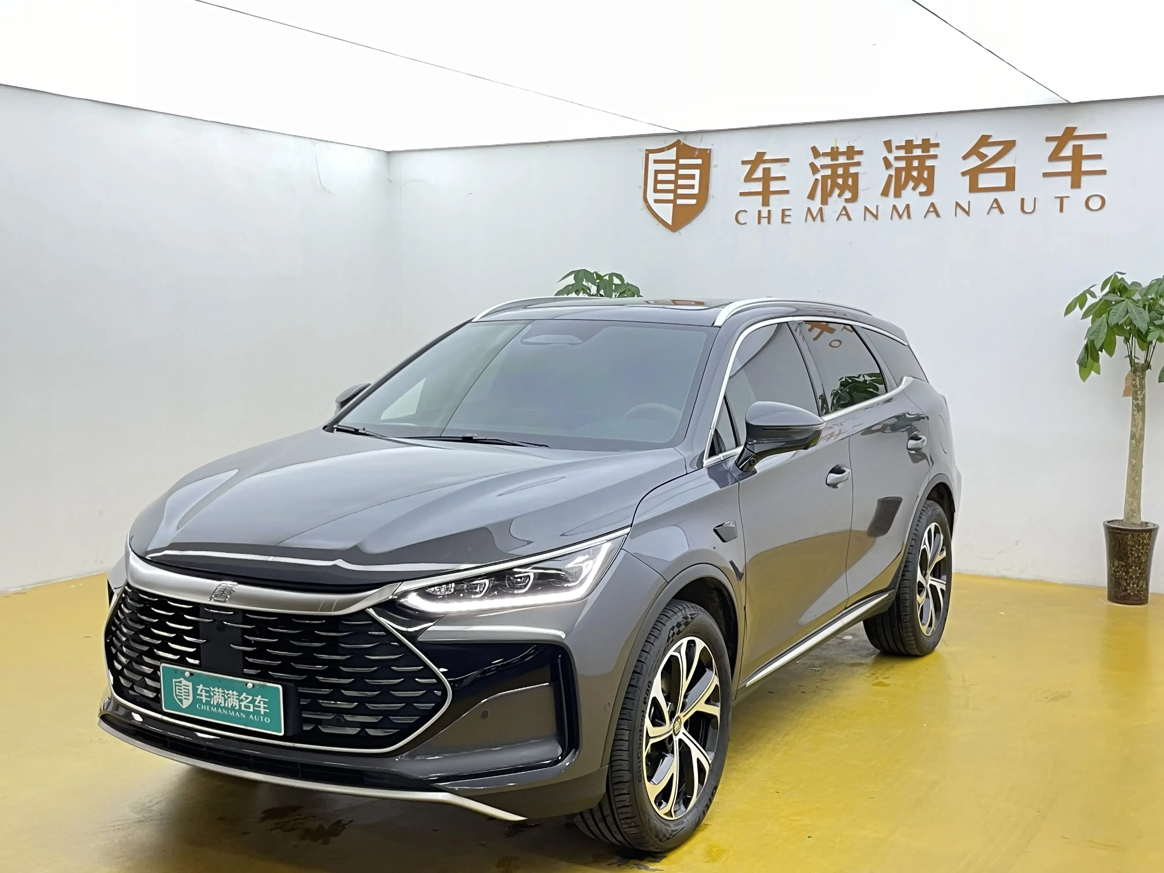 BYD Tang DM